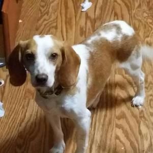 Meet your Posher, Charles